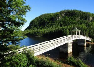 A boardwalk around the Northwest Bottom section of the trail. 