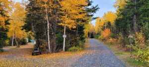 Campsites at the park. 