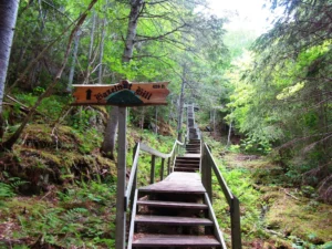 A view of the Town of Roberts Arm from the summit of Hazelnut. 