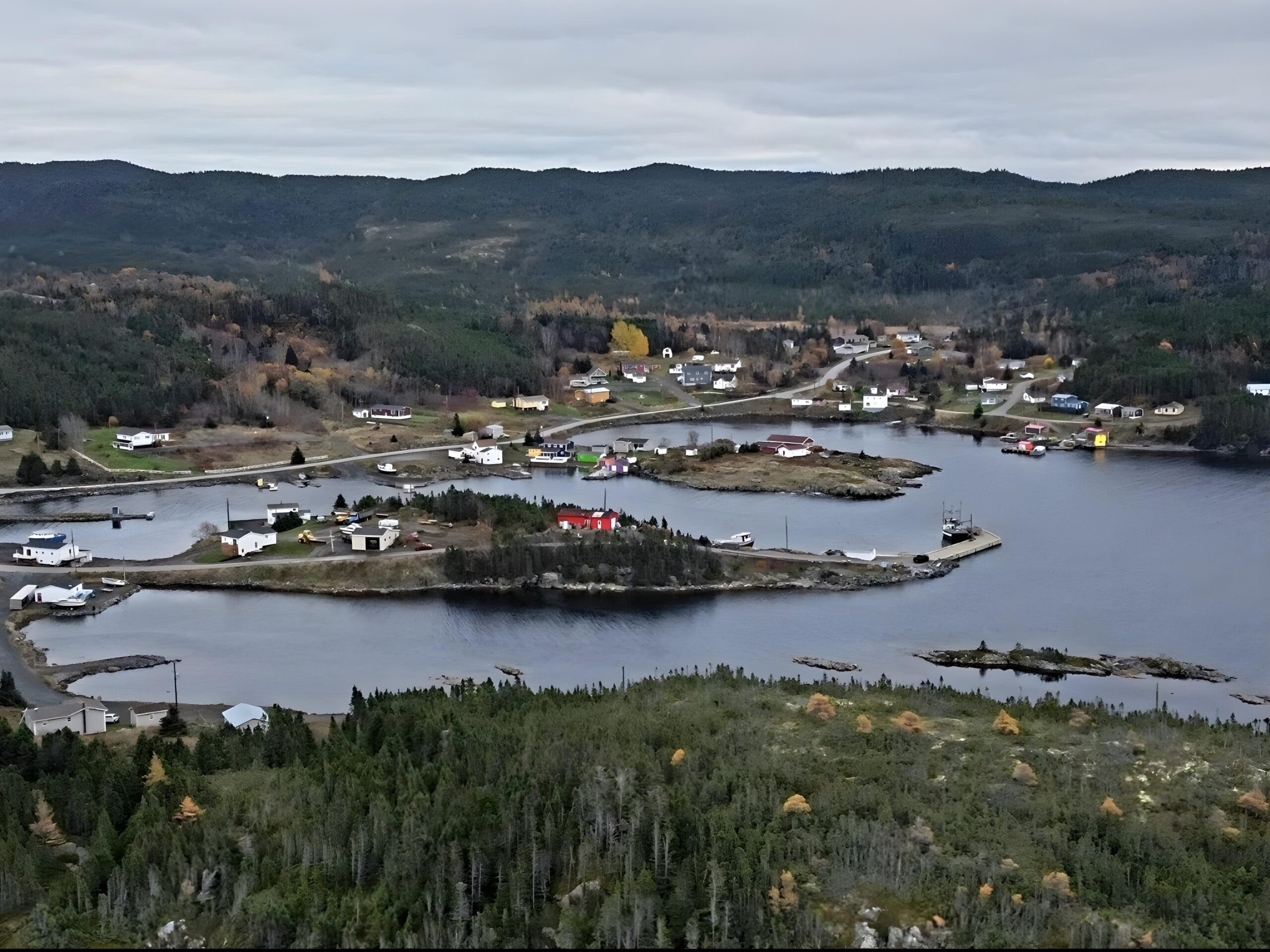 Hero section Lushes bight image